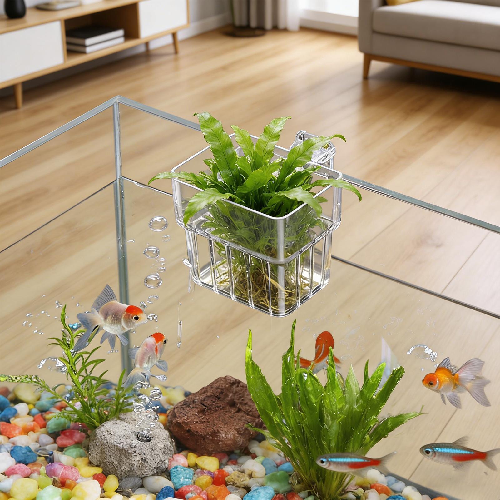 Aquarium Plant Live - กระถางใสสำหรับแขวนปลูกพืชน้ำในตู้ปลา ระบบไฮโดรโปนิกส์ ตกแต่งสถานที่ทำงานในร่ม ตกแต่งสำหรับการปลูก