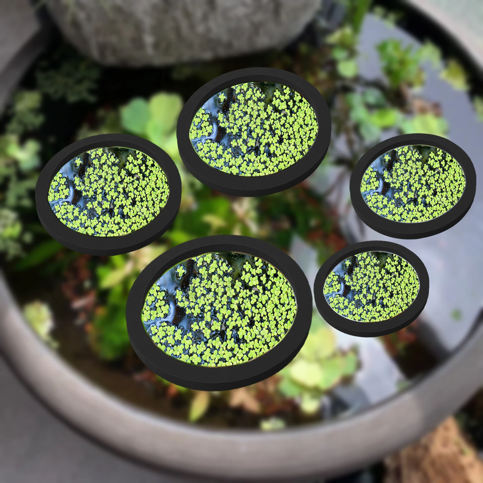 Planted Aquarium With Fish - 5 ชิ้น EVA ปลา Feeding แหวน