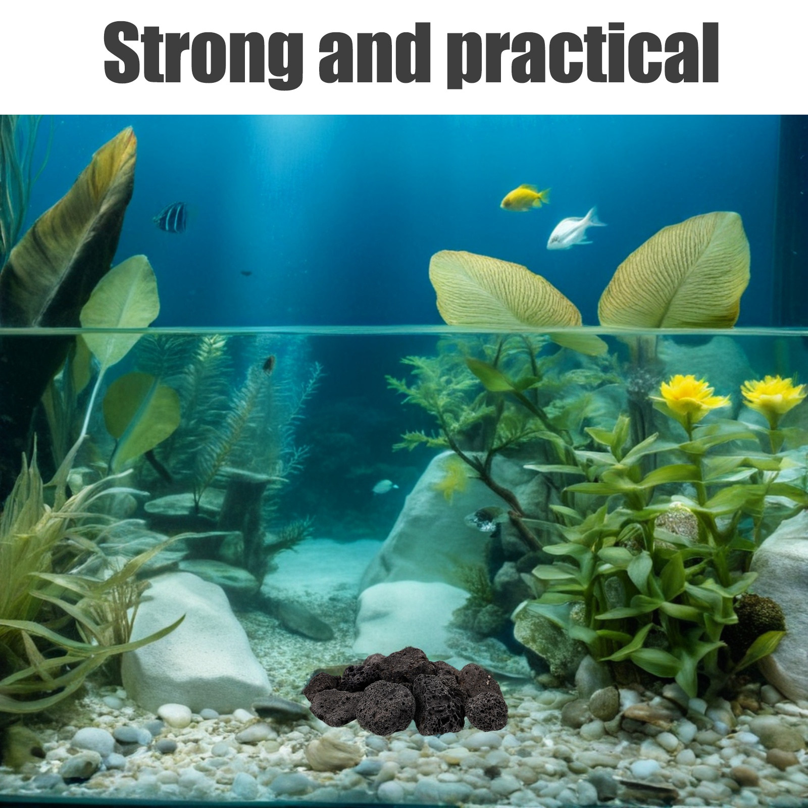 Planted Aquarium With Fish - หินตกแต่งภูเขาไฟ 1 แพ็ค สำหรับตู้ปลา ตู้เลี้ยงปลา ต้นไม้ในกระถาง
