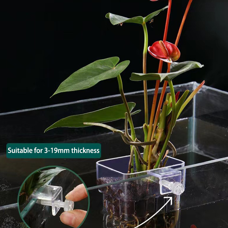 Planted Aquarium With Fish - ถ้วยปลูกหญ้าน้ำพิพิธภัณฑ์สัตว์น้ำอเนกประสงค์สำหรับการเพาะพันธุ์กล่องแยกตู้ปลาถังปลาการปลูกพืชไฮโดรโปนิกส์