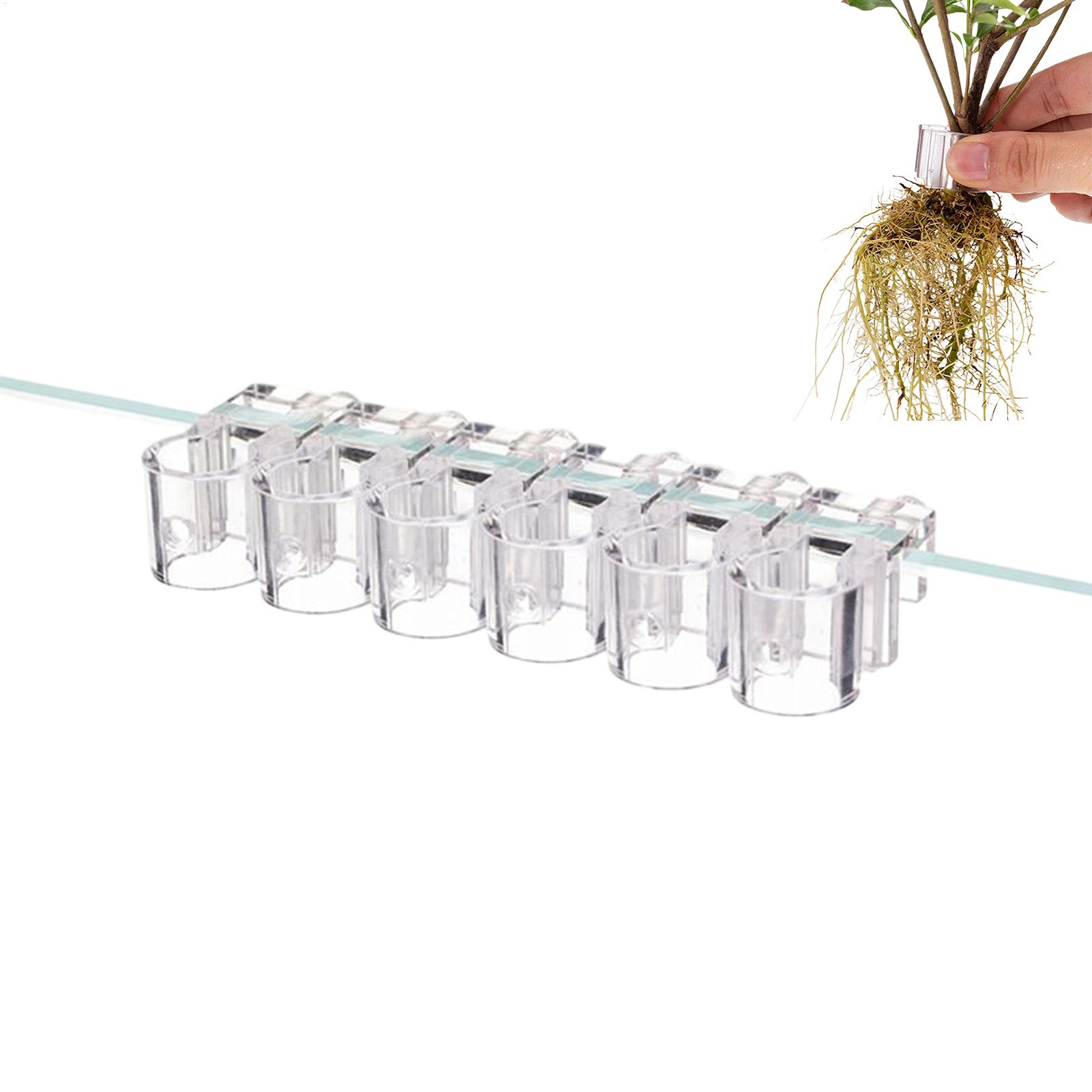 Aquarium Plant Live - ที่แขวนต้นไม้สำหรับตู้ปลา 6 ชิ้น ที่แขวนต้นไม้แบบใส ที่แขวนต้นไม้น้ำแบบแขวนได้ สำหรับตู้ปลา