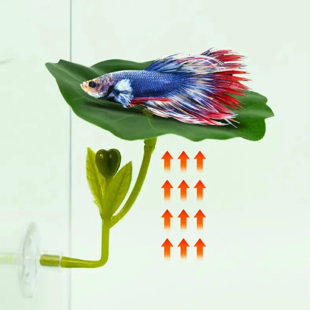Planted Aquarium For Betta - เปลนอนปลาเบตต้าใบไม้สีเขียว 1 ชิ้น ตกแต่งตู้ปลา ลดความเครียด ปลอดภัยสำหรับตู้ปลา