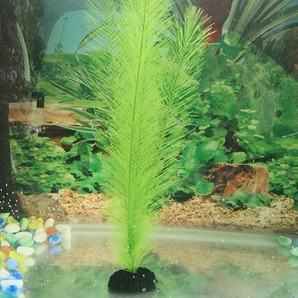 1/3Pcs 28/40 ซม.Aquarium Fish  - Aquarium Plant Live บทวิจารณ์และราคา