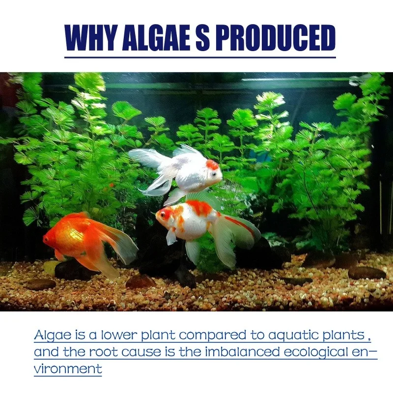 สารกำจัดสาหร่ายประสิทธิภาพสูง  - Aquarium Plant Fertilizer บทวิจารณ์และราคา