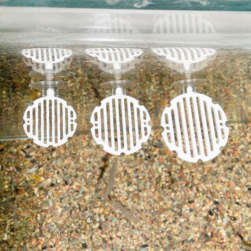 ตู้ปลาพลาสติก ตู้เลี้ยงปลาเบต้ - Planted Aquarium For Betta บทวิจารณ์และราคา