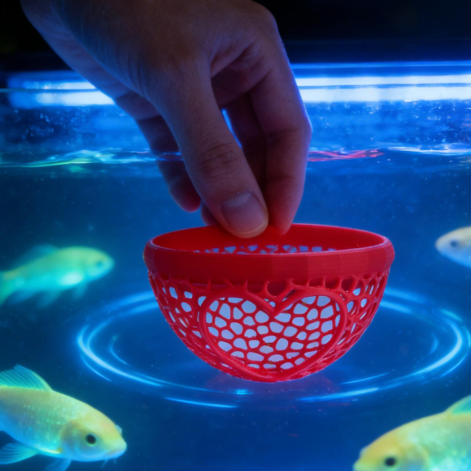 ที่หลบภัยปลาเบต้าแบบลอยน้ำ เปล - Planted Aquarium For Betta บทวิจารณ์และราคา