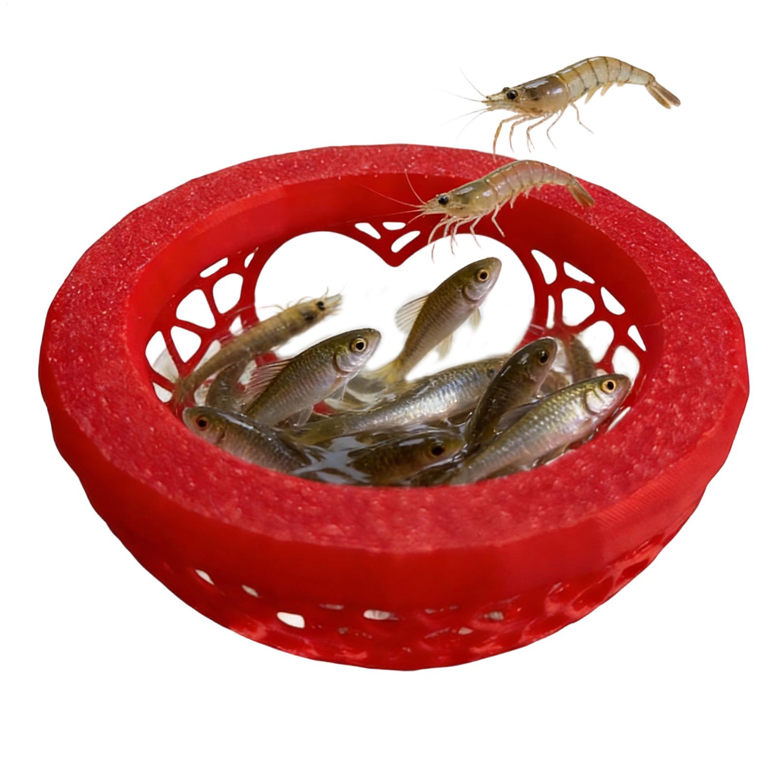 ที่หลบภัยปลาเบต้าแบบลอยน้ำ เปล - Planted Aquarium For Betta บทวิจารณ์และราคา
