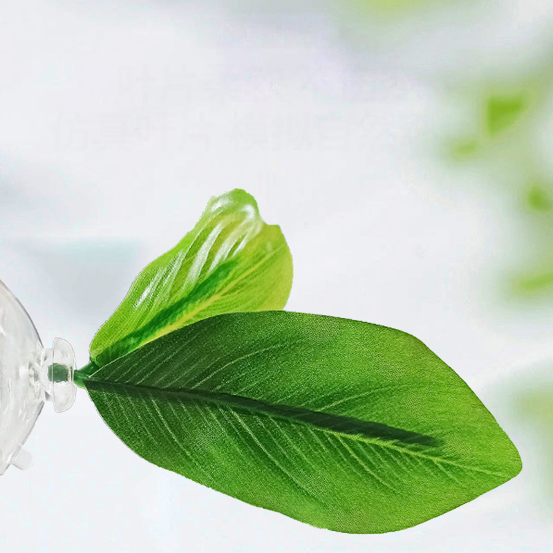 เปลใบไม้สีเขียว 1 ชิ้น สำหรับป - Planted Aquarium For Betta บทวิจารณ์และราคา