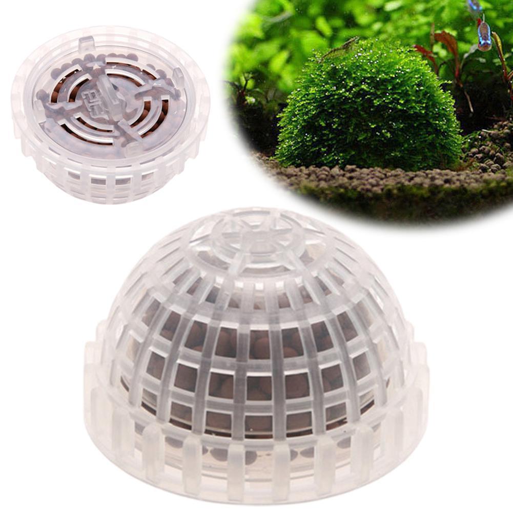 ที่วางมอสบอลสำหรับตู้ปลา 1 ชิ้ - Planted Aquarium Models บทวิจารณ์และราคา