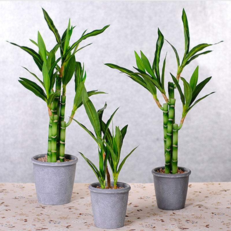 ใหม่ 40 ซม.rFtificial Lucky ไม - Aquarium Plant Display บทวิจารณ์และราคา