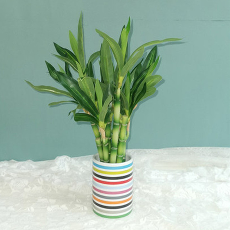 ใหม่ 40 ซม.rFtificial Lucky ไม - Aquarium Plant Display บทวิจารณ์และราคา