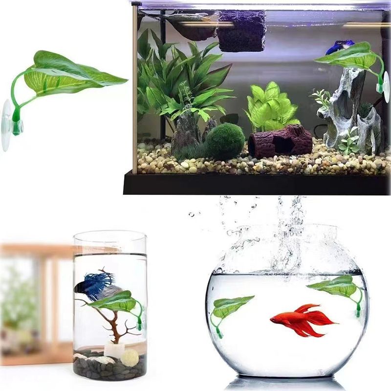 ต้นไม้ประดิษฐ์สำหรับตกแต่งตู้ป - Planted Aquarium For Betta บทวิจารณ์และราคา