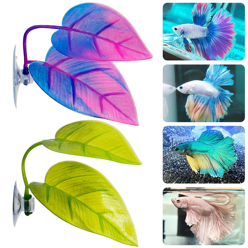 ต้นไม้ประดิษฐ์สำหรับตกแต่งตู้ป - Planted Aquarium For Betta บทวิจารณ์และราคา