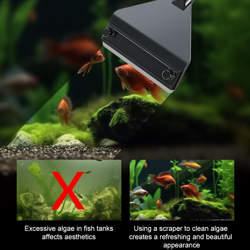 พิพิธภัณฑ์สัตว์น้ําสาหร่ายRemo - Planted Aquarium Algae Remover บทวิจารณ์และราคา