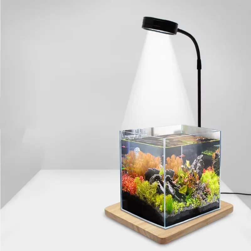 ไฟ LED ฟูลสเปกตรัมพร้อมแผงวงจร - Planted Aquarium For Betta บทวิจารณ์และราคา