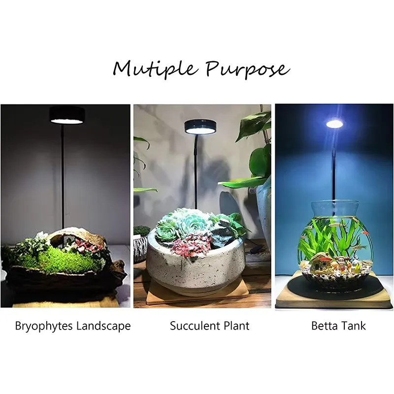 ไฟ LED ฟูลสเปกตรัมพร้อมแผงวงจร - Planted Aquarium For Betta บทวิจารณ์และราคา