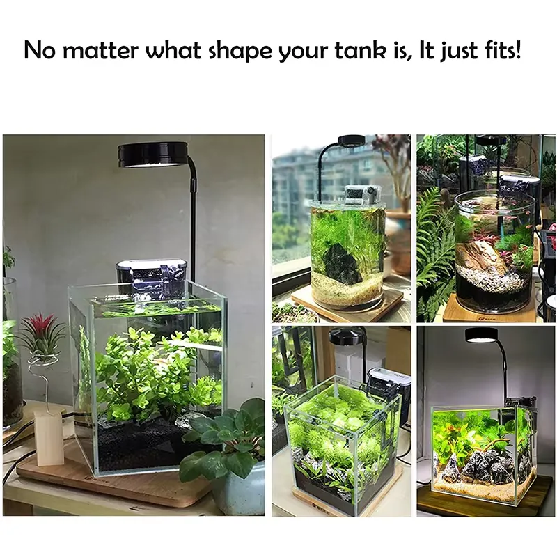 ไฟ LED ฟูลสเปกตรัมพร้อมแผงวงจร - Planted Aquarium For Betta บทวิจารณ์และราคา