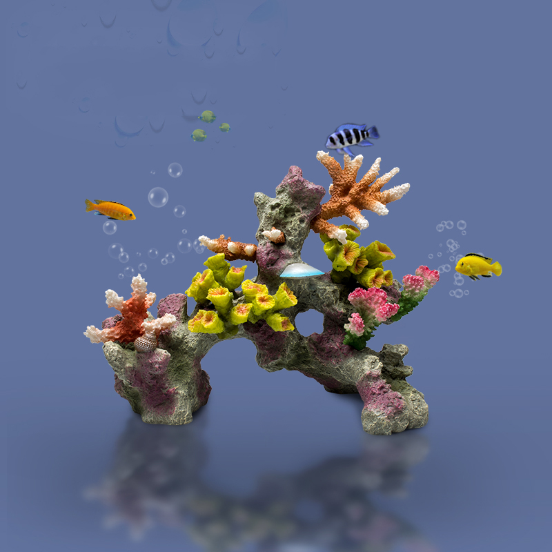Betta เครื่องประดับอ่างปลาหินป - Planted Aquarium For Betta บทวิจารณ์และราคา