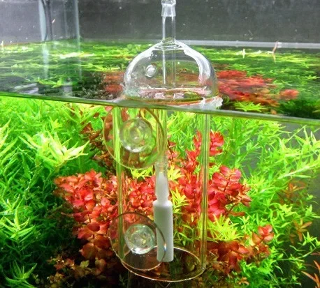 VIV Do อุปกรณ์ Aquarium กระบอก - Aquarium Plant Live บทวิจารณ์และราคา