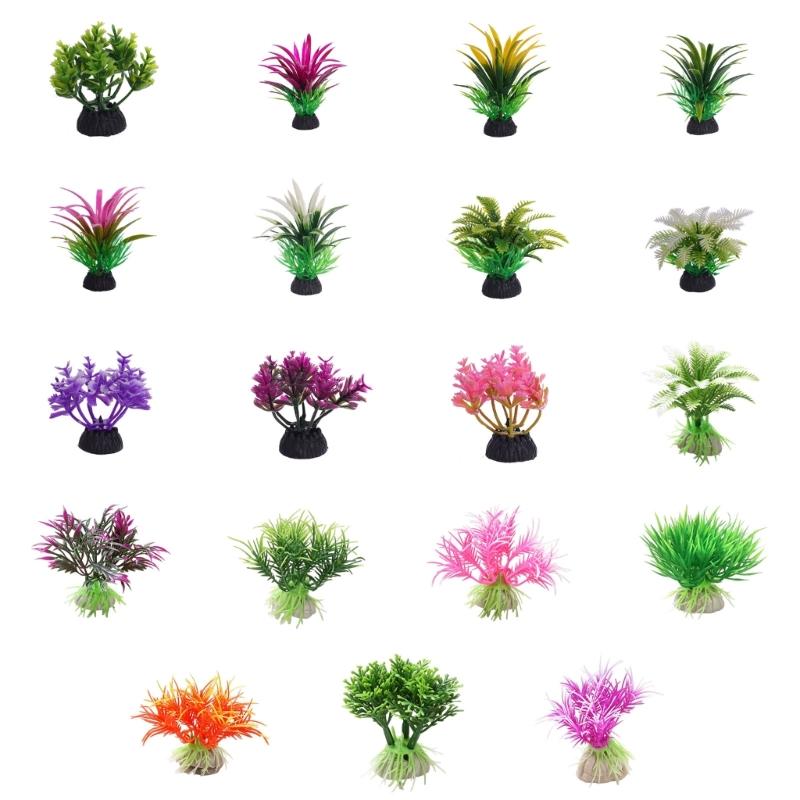 G6KF Fishtanks ตกแต่งพืชน้ำประ - Planted Aquarium Models บทวิจารณ์และราคา