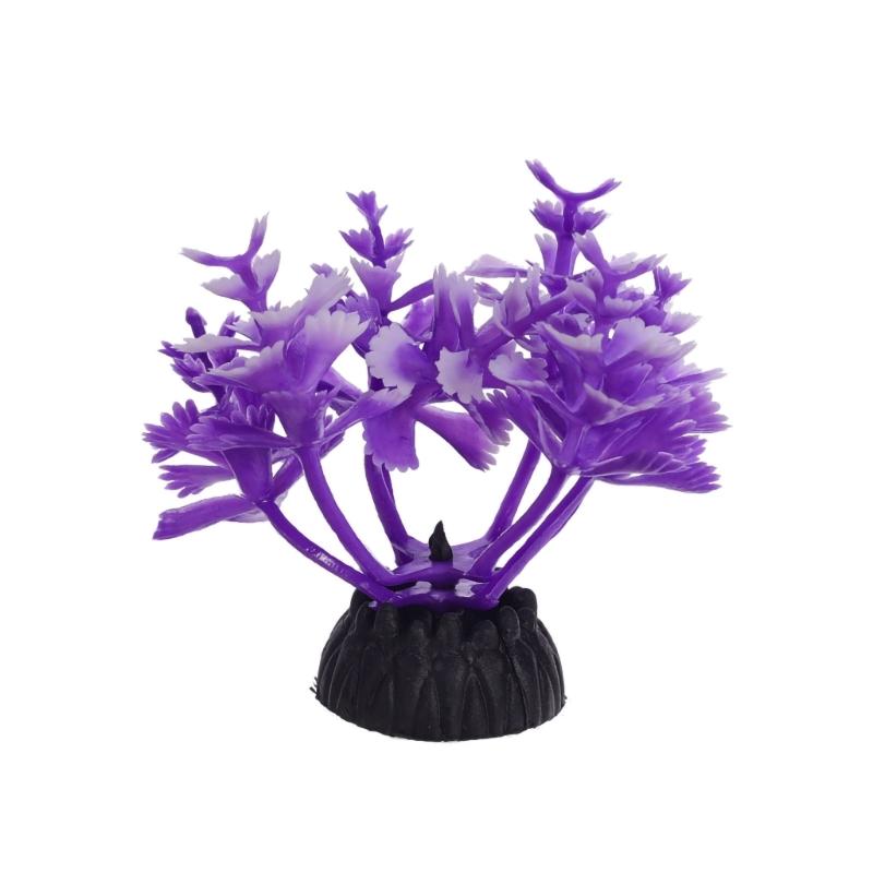 G6KF Fishtanks ตกแต่งพืชน้ำประ - Planted Aquarium Models บทวิจารณ์และราคา
