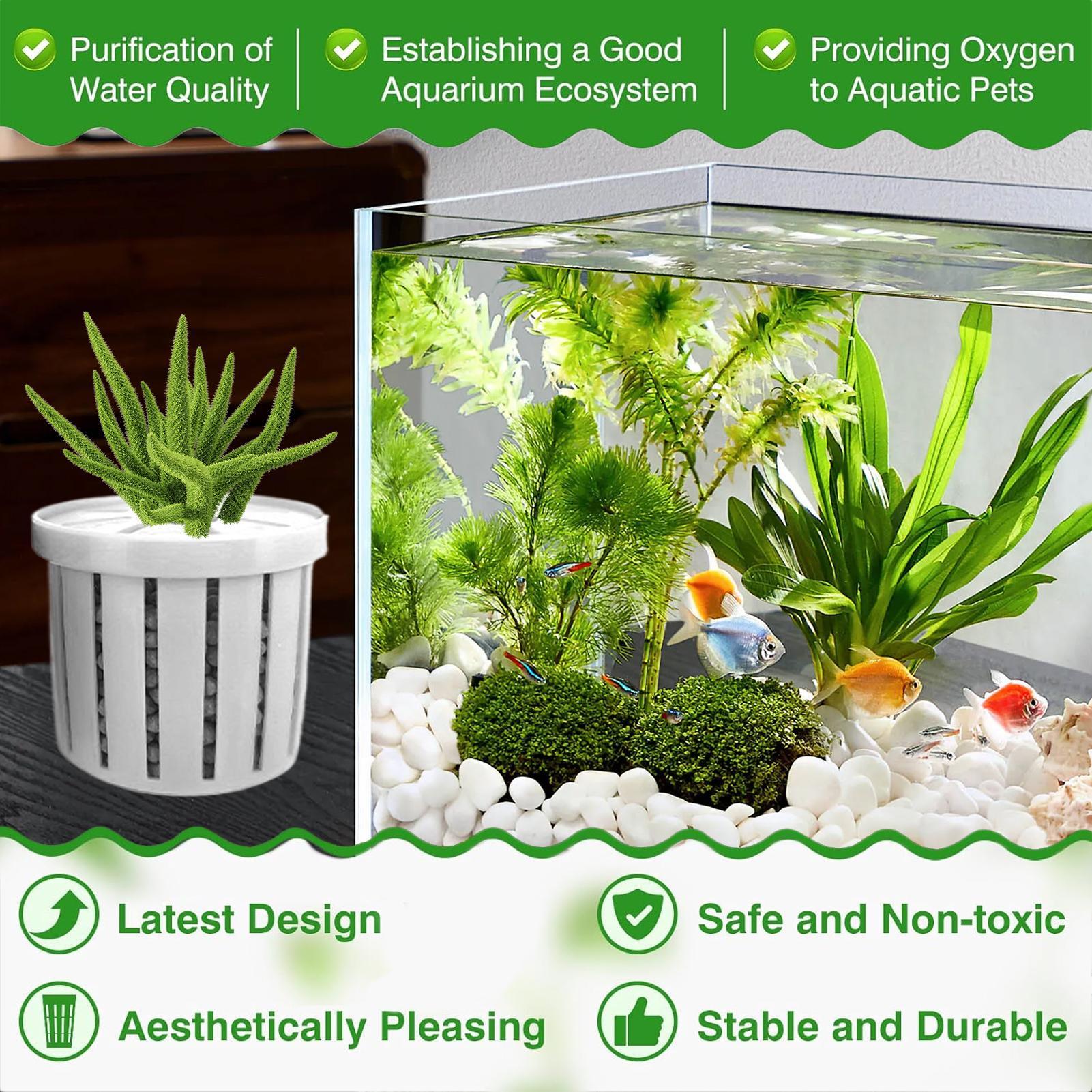 กระถางปลูกต้นไม้ในตู้ปลา 4 ชิ้ - Aquarium Plant Live บทวิจารณ์และราคา