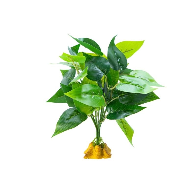 โรงงานพิพิธภัณฑ์สัตว์น้ำเทียม - Planted Aquarium With Fish บทวิจารณ์และราคา