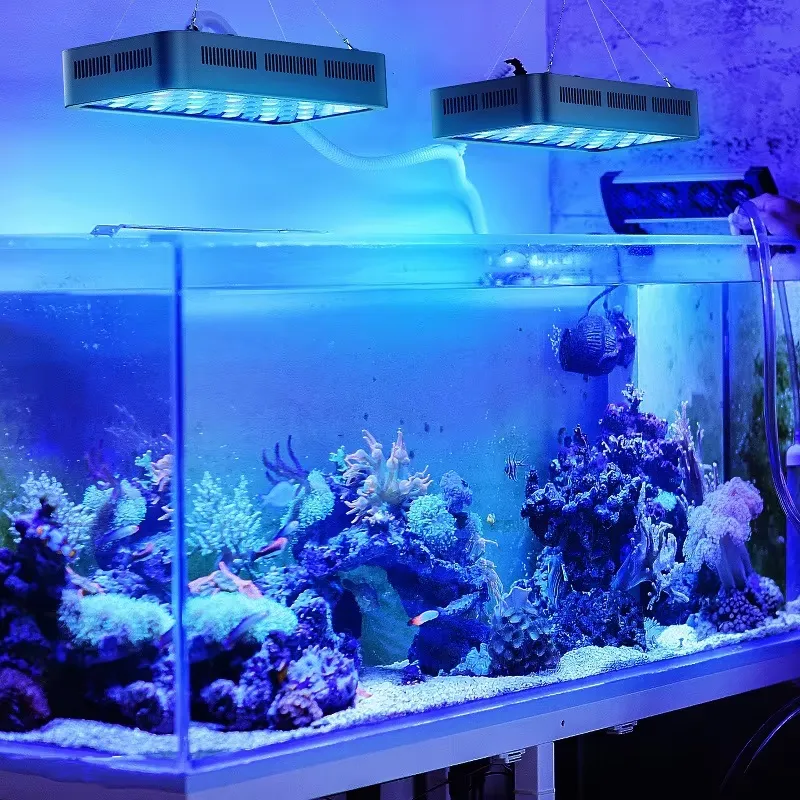 ไฟ LED สำหรับตู้ปลาแบบปลูกพรรณ - Planted Aquarium Models บทวิจารณ์และราคา