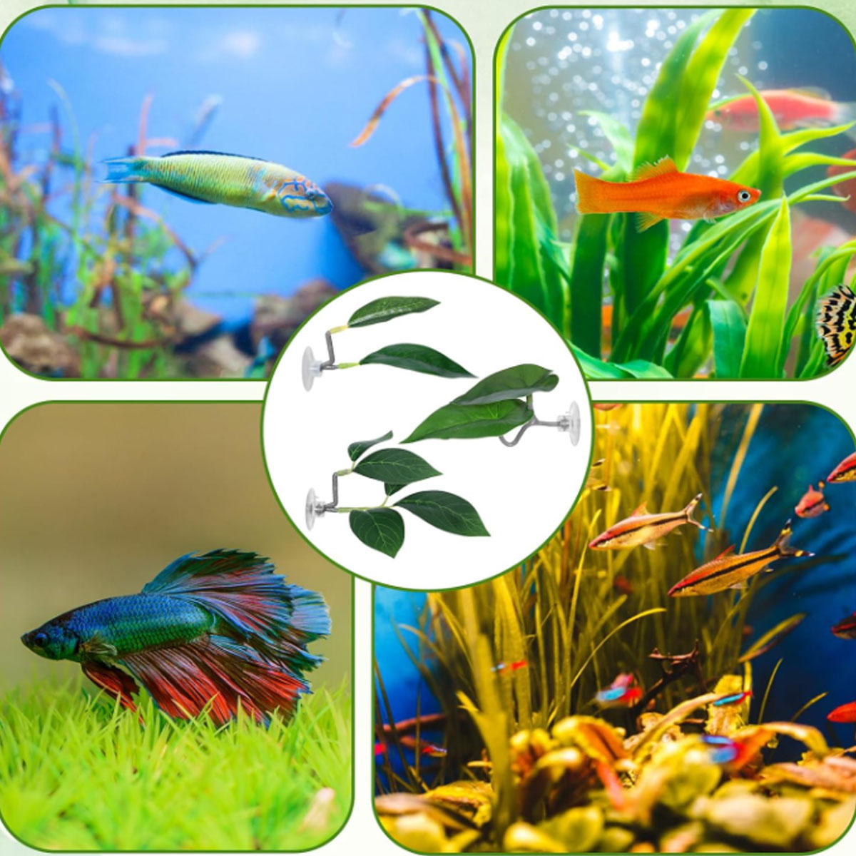 เปลปลาเบตต้า 1 ชิ้น ของตกแต่งต - Planted Aquarium For Betta บทวิจารณ์และราคา