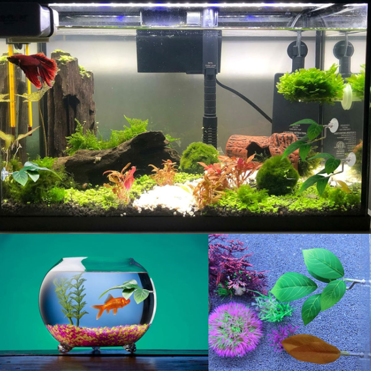เปลปลาเบตต้า 1 ชิ้น ของตกแต่งต - Planted Aquarium For Betta บทวิจารณ์และราคา
