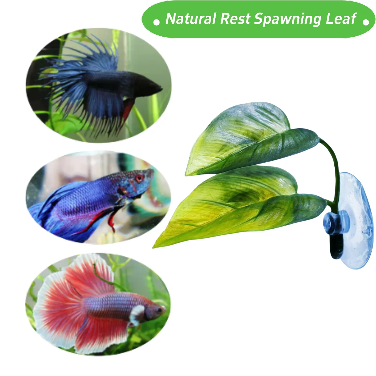 ของตกแต่งตู้ปลาสำหรับสัตว์เลี้ - Planted Aquarium For Betta บทวิจารณ์และราคา