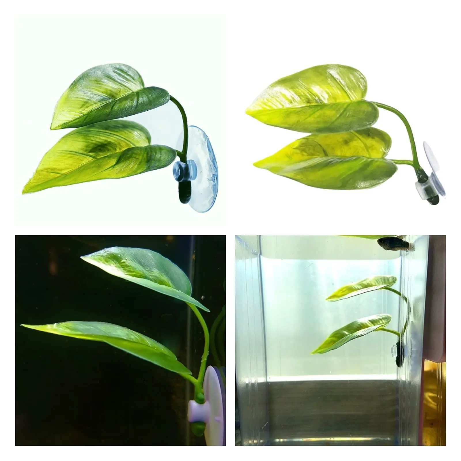 ของตกแต่งตู้ปลาสำหรับสัตว์เลี้ - Planted Aquarium For Betta บทวิจารณ์และราคา