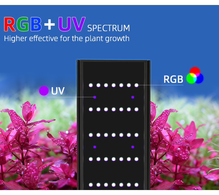 สัปดาห์ AQUA L Series APP ควบค - Aquarium Plant Display บทวิจารณ์และราคา
