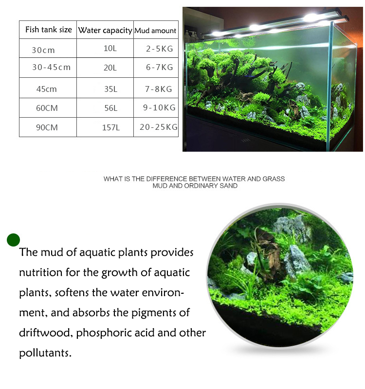 พิพิธภัณฑ์สัตว์น้ำเมล็ดพืชดิน  - Planted Aquarium With Fish บทวิจารณ์และราคา