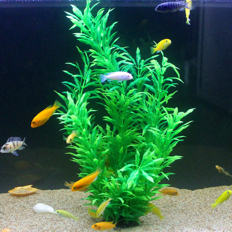 50 ซม.ถังปลาประดิษฐ์พืชหายากAq - Planted Aquarium With Fish บทวิจารณ์และราคา