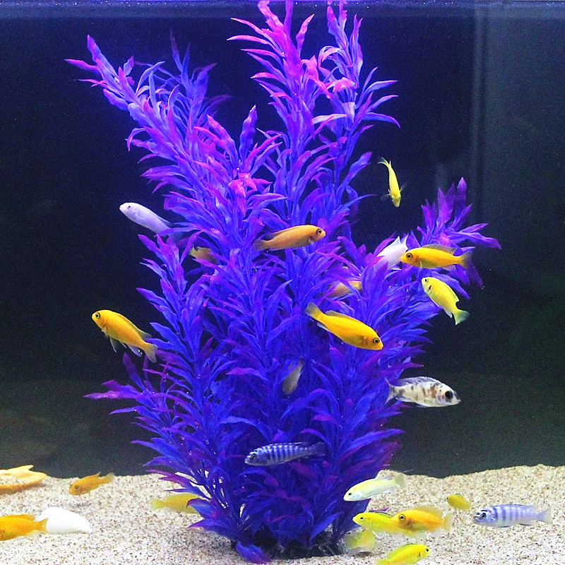 50 ซม.ถังปลาประดิษฐ์พืชหายากAq - Planted Aquarium With Fish บทวิจารณ์และราคา