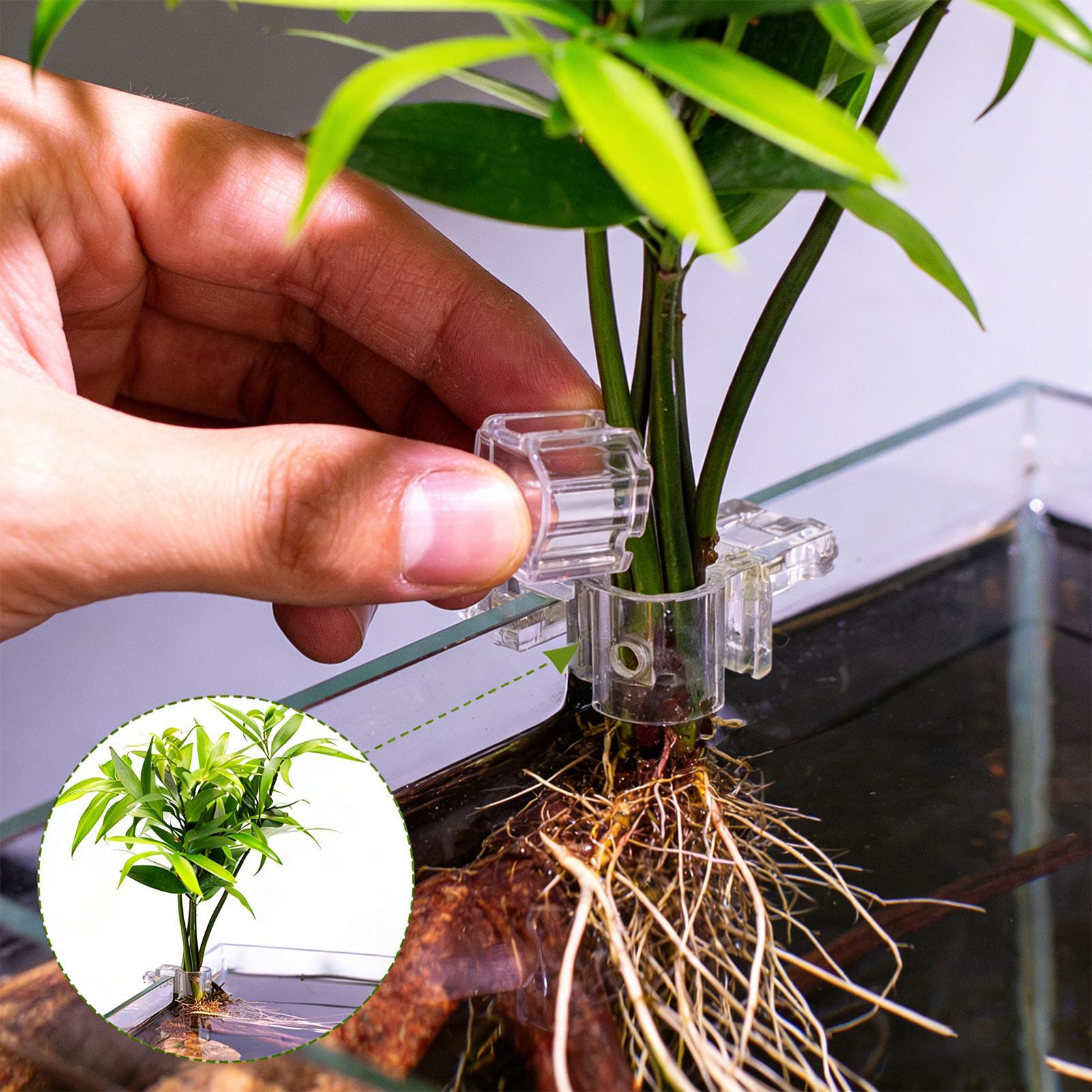 ที่แขวนต้นไม้สำหรับตู้ปลา 6 ชิ - Aquarium Plant Live บทวิจารณ์และราคา