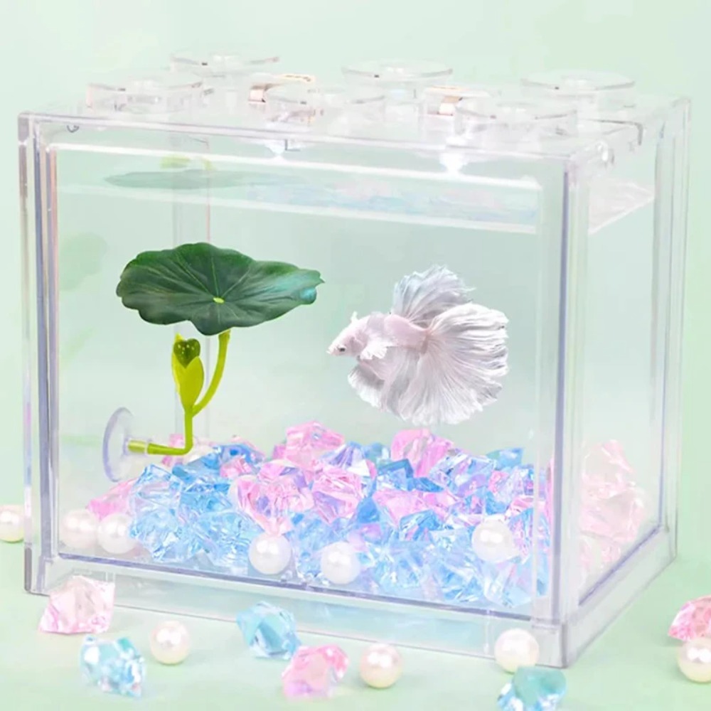 เปลนอนปลาเบตต้าใบไม้สีเขียว 1  - Planted Aquarium For Betta บทวิจารณ์และราคา
