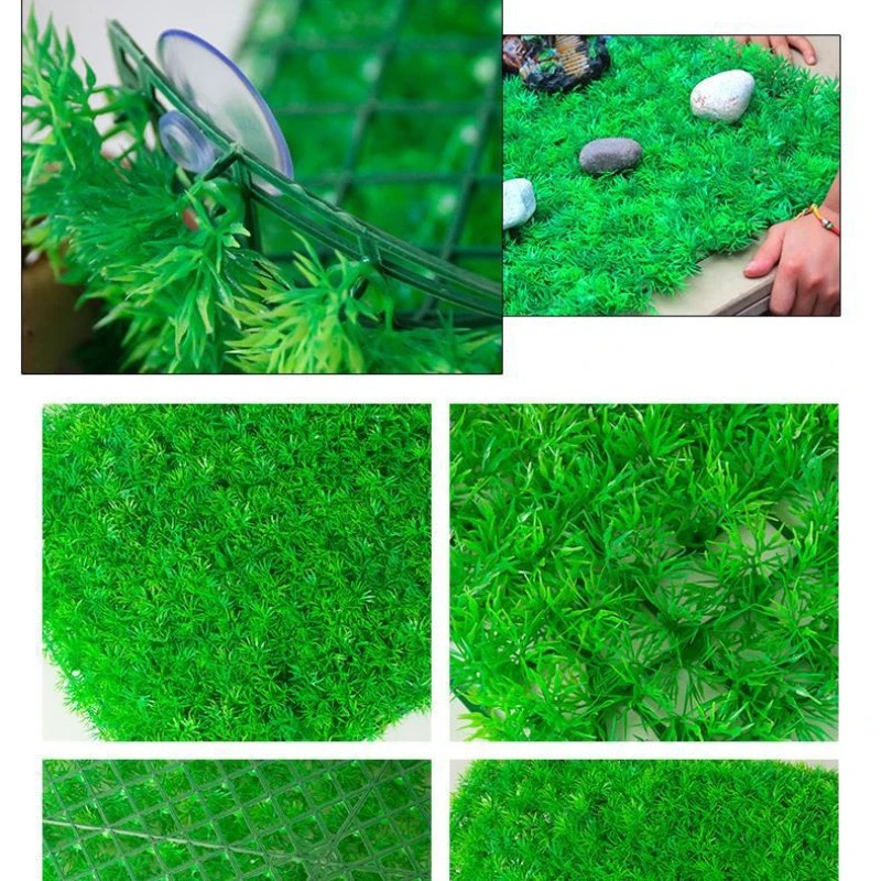 หญ้าเทียมสำหรับตกแต่งตู้ปลาตู้ - Aquarium Plant Live บทวิจารณ์และราคา