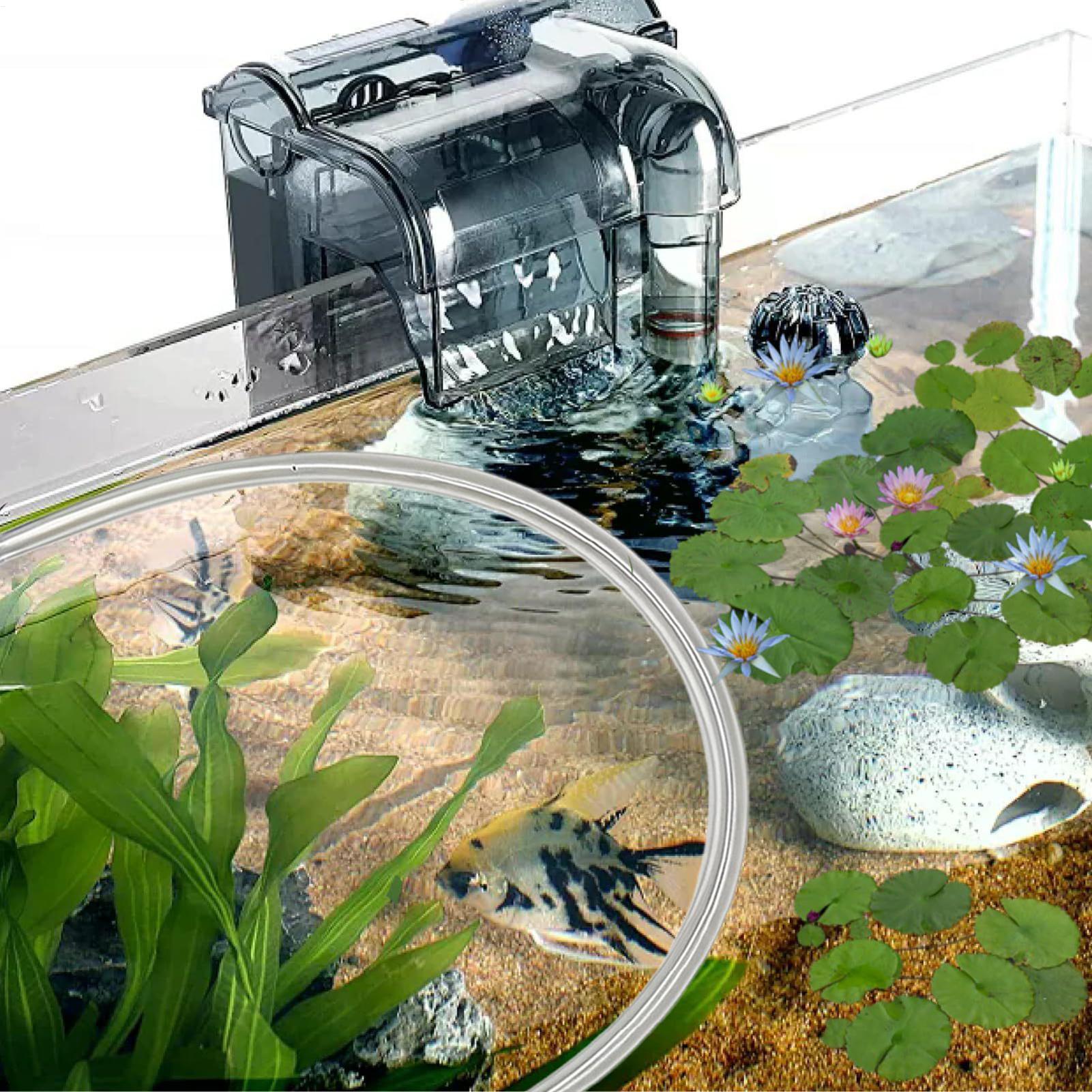 ชุดอุปกรณ์กั้นพืชน้ำลอยน้ำแบบป - Planted Aquarium For Betta บทวิจารณ์และราคา