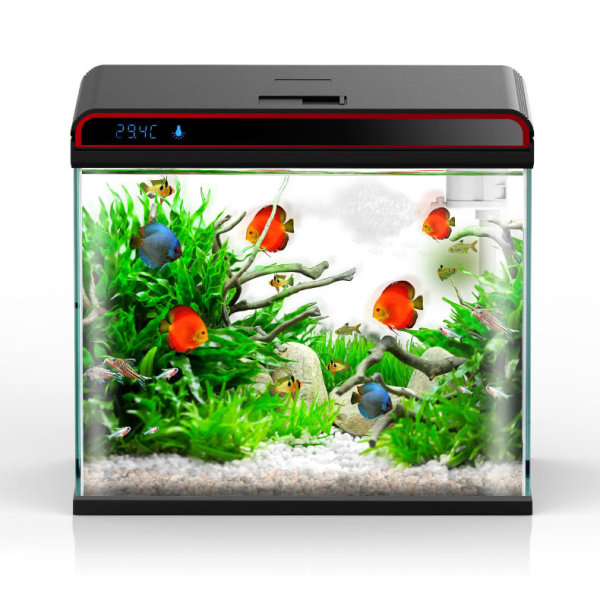 Sunsun 4-in-1 Aquarium Water C - Planted Aquarium Algae Remover บทวิจารณ์และราคา