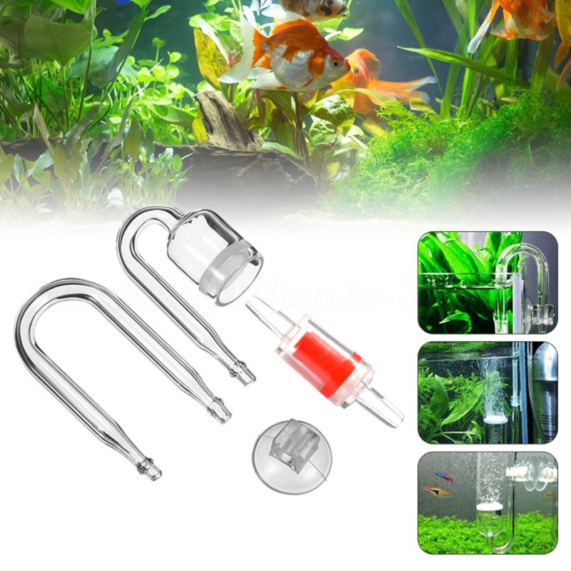 DIY ชุดกระจาย CO2 4ชิ้นสำหรับต - Aquarium Plant Live บทวิจารณ์และราคา