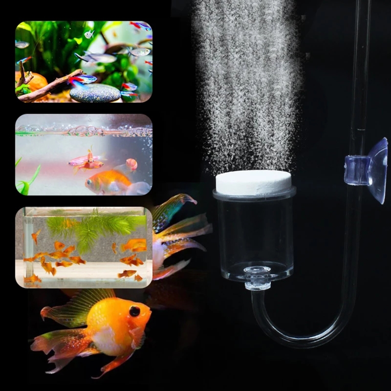 DIY ชุดกระจาย CO2 4ชิ้นสำหรับต - Aquarium Plant Live บทวิจารณ์และราคา