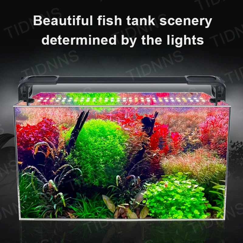 พิพิธภัณฑ์สัตว์น้ําไฟ LED พืชเ - Aquarium Plant Display บทวิจารณ์และราคา