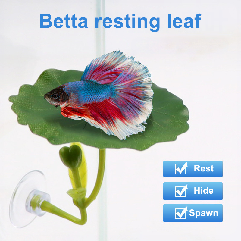 1 ชิ้น สำหรับตกแต่งตู้ปลาเบต้า - Planted Aquarium For Betta บทวิจารณ์และราคา