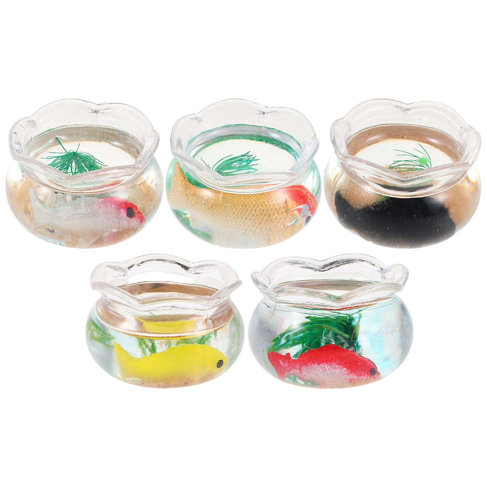 ตู้ปลาขนาดเล็กทรงกลม 5 ชิ้น สำ - Planted Aquarium With Fish บทวิจารณ์และราคา